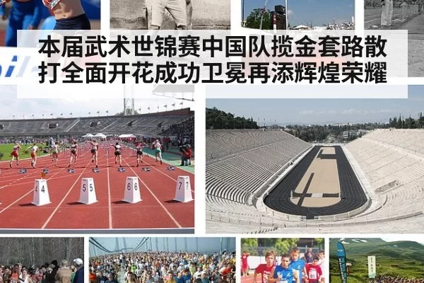 本届武术世锦赛中国队揽金套路散打全面开花成功卫冕再添辉煌荣耀